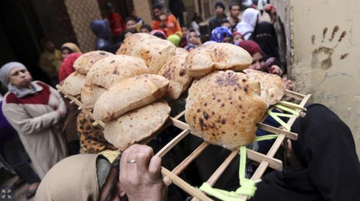 الغذاء في مصر